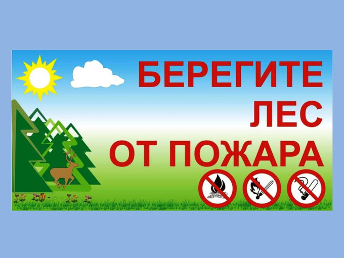 Берегите лес от пожара! Берегите лес от пожара!.