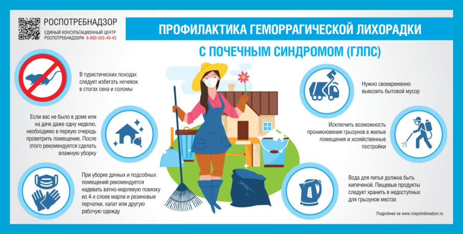 Мышиная лихорадка - инфекция сезона. Как уберечь себя и своих близких? Мышиная лихорадка - инфекция сезона. Как уберечь себя и своих близких?.